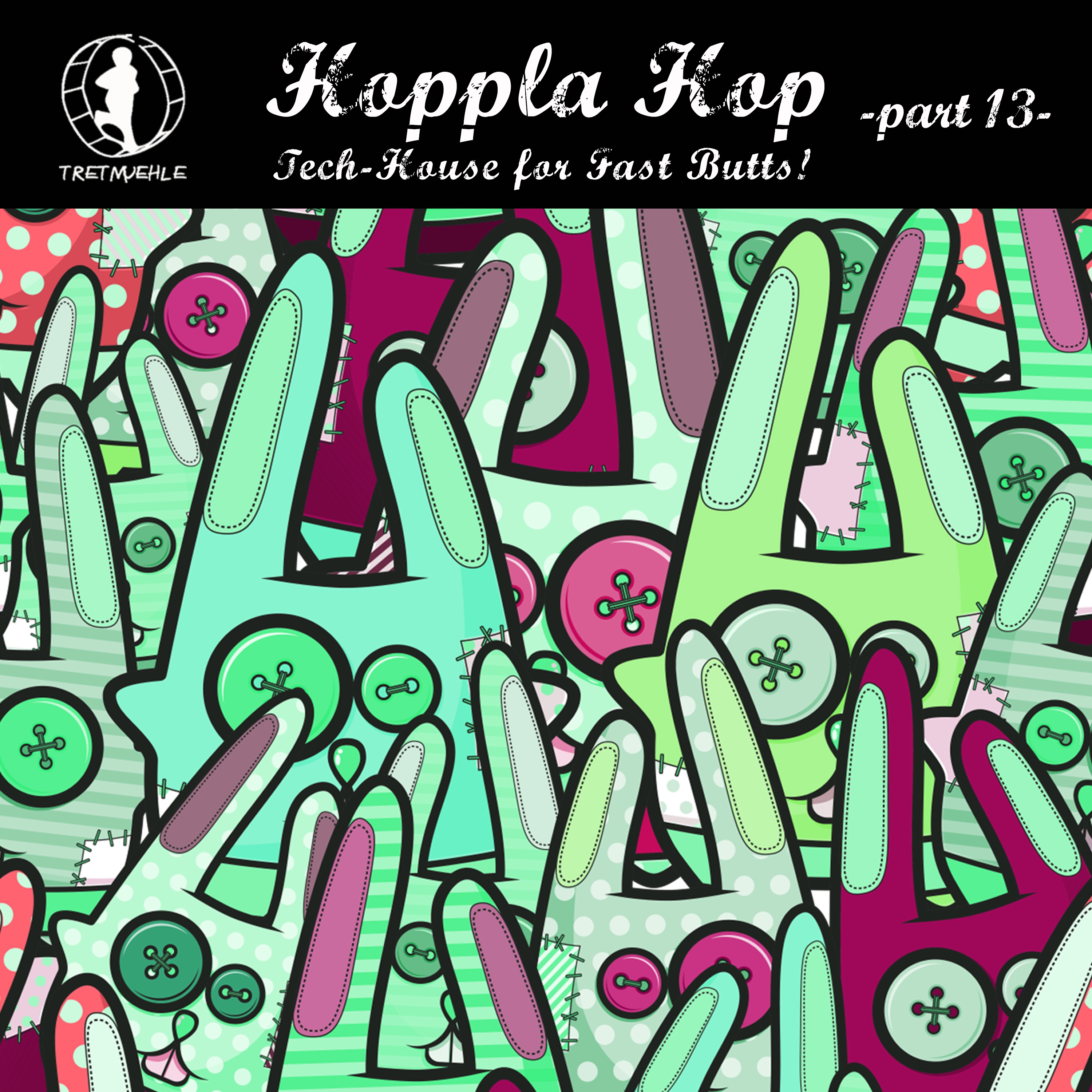 Hoppla Hop, Vol. 13 - Tech House for Fast Butts!