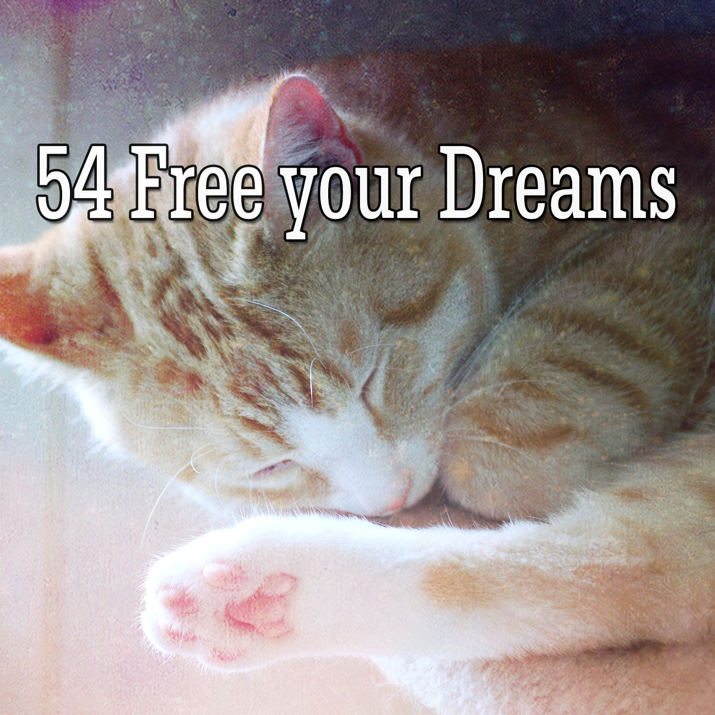 54 Free your Dreams