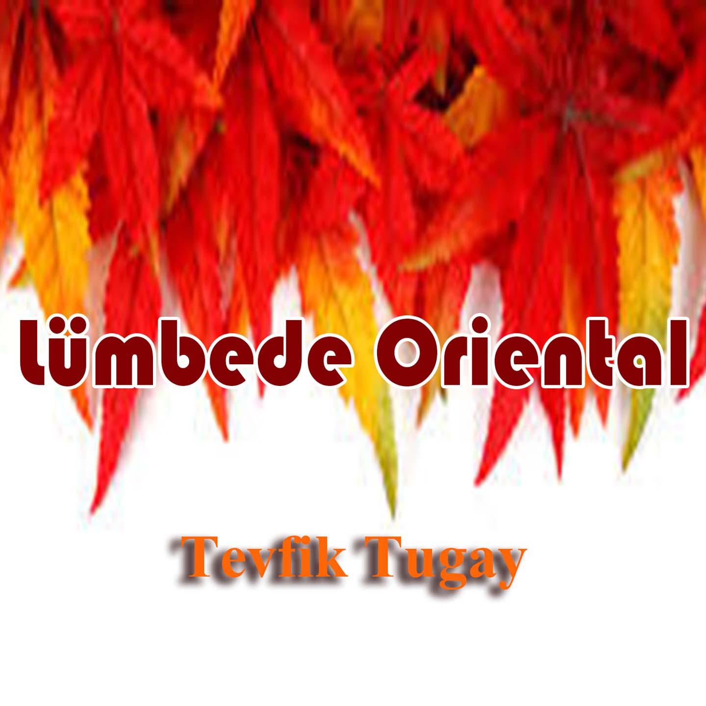 Mü thi Darbuka Solo