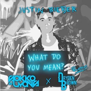 What Do You Mean? (Sokko & Lyons x Dryden Brown Remix)