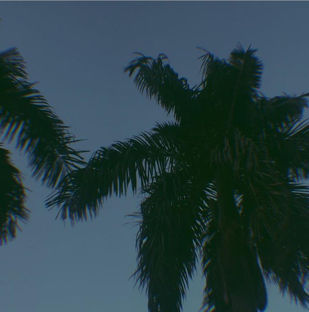 qing ting dui zhang  meng Betrayed  remix