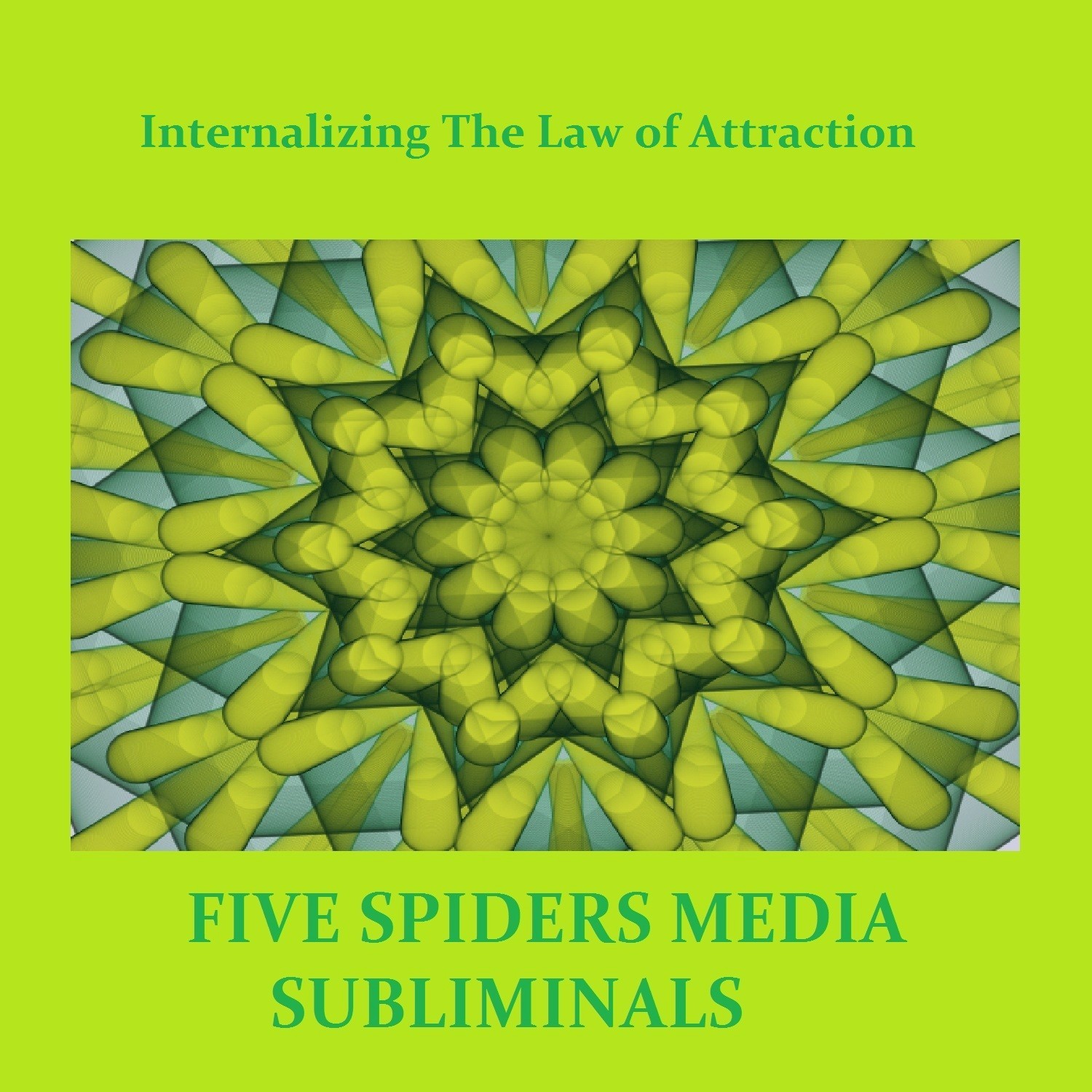 Internalizing the Law of Attraction - Single