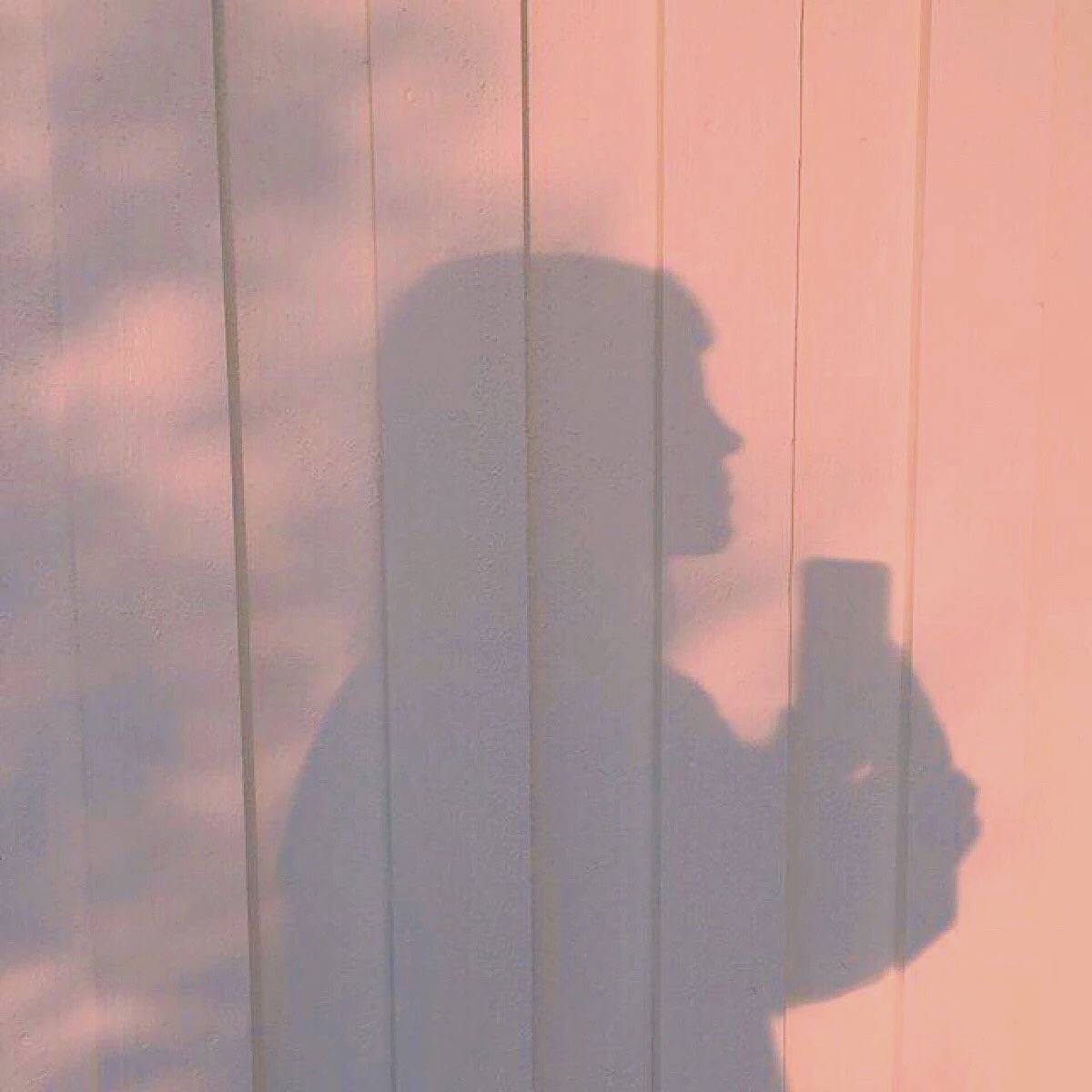 dong xi fan zi lin jun cheng