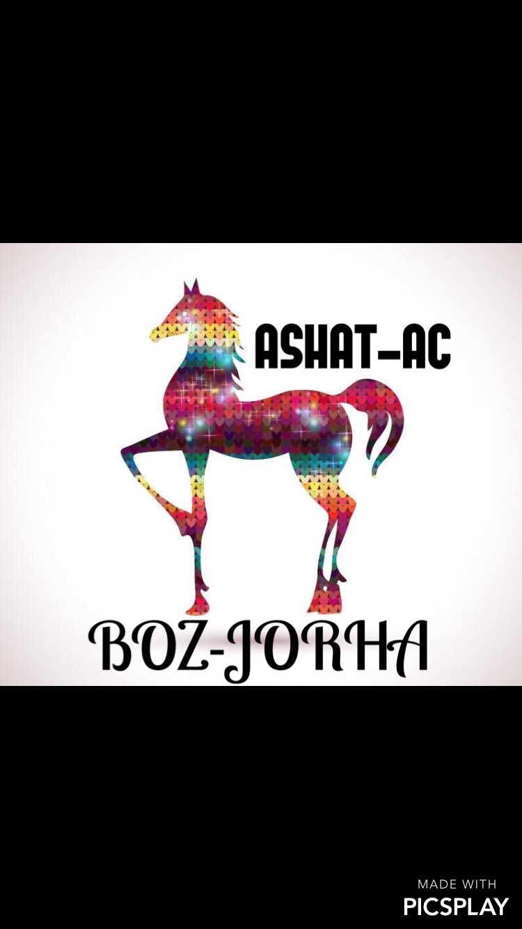BOZ JORHA