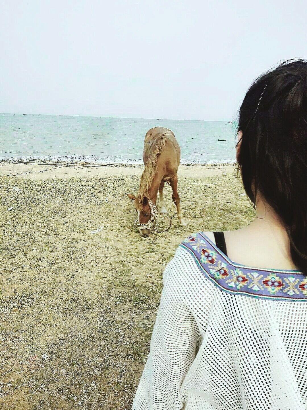 sheng li xian sheng de jing jing xiao jie