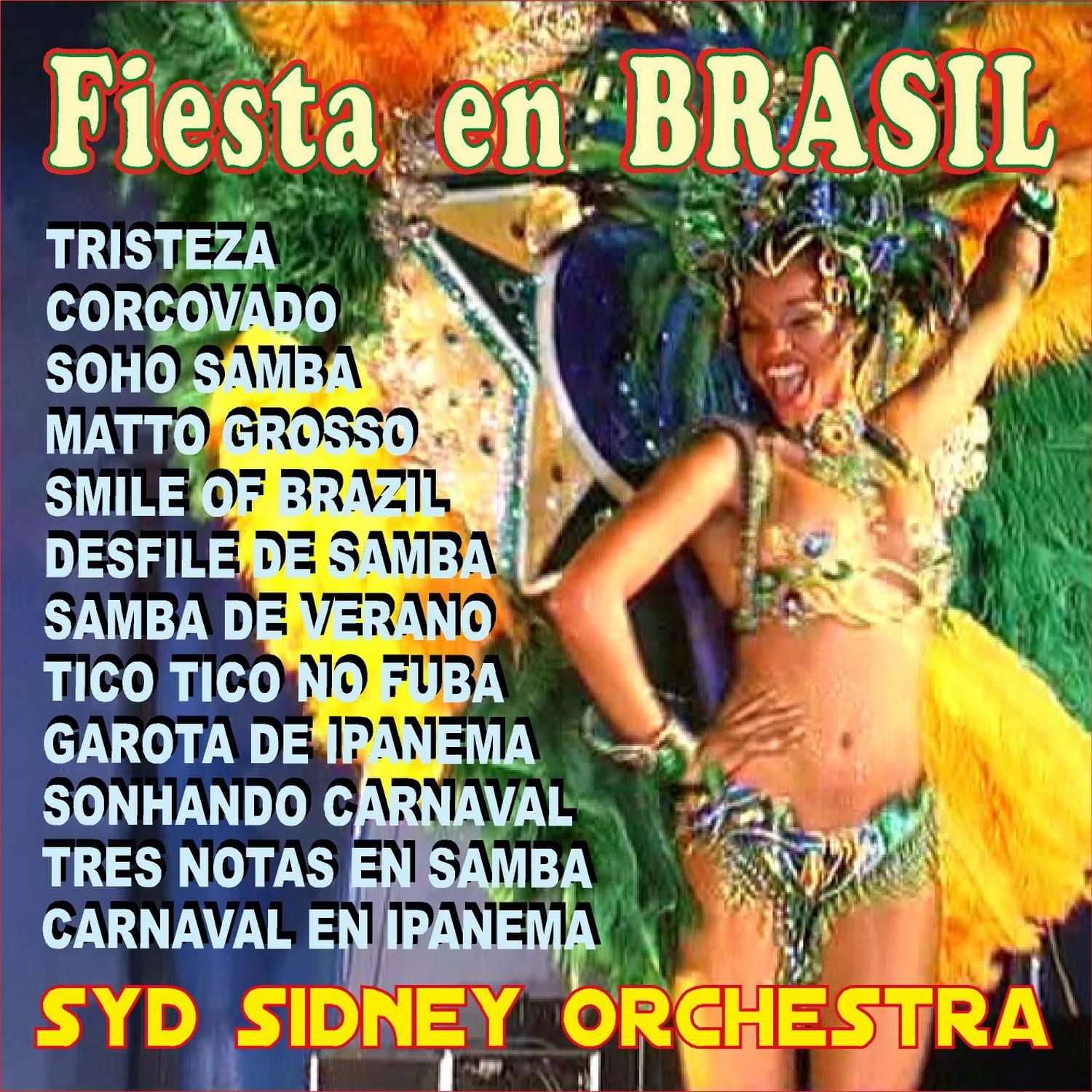 Fiesta en Brasil
