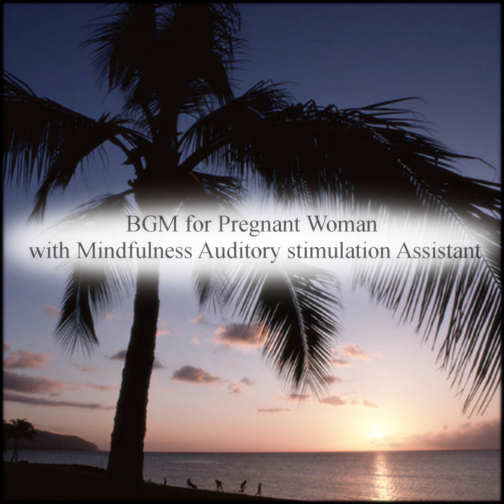 Comet & Joy (Original Mix)