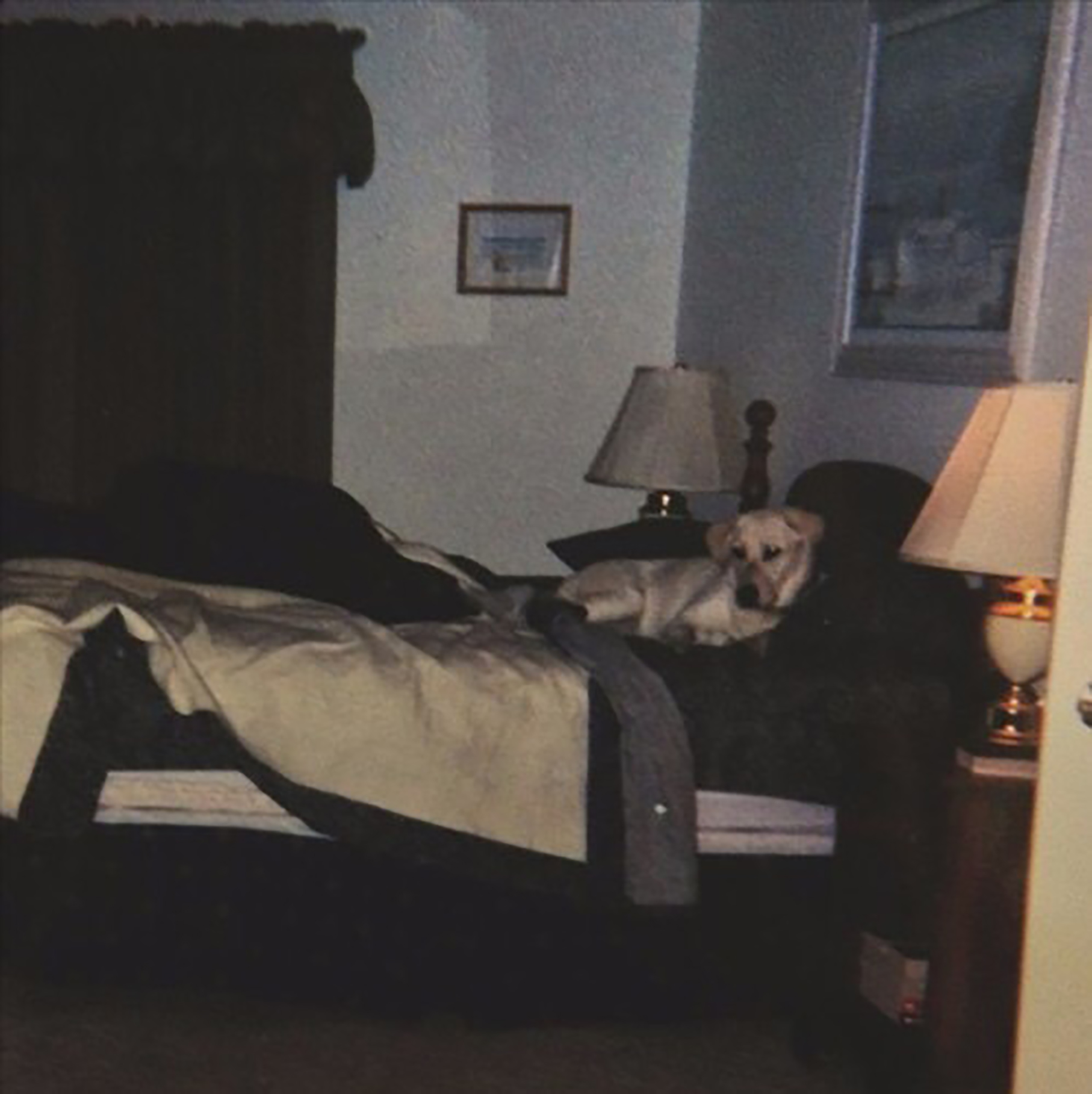 ling chen san dian hou yi zheng