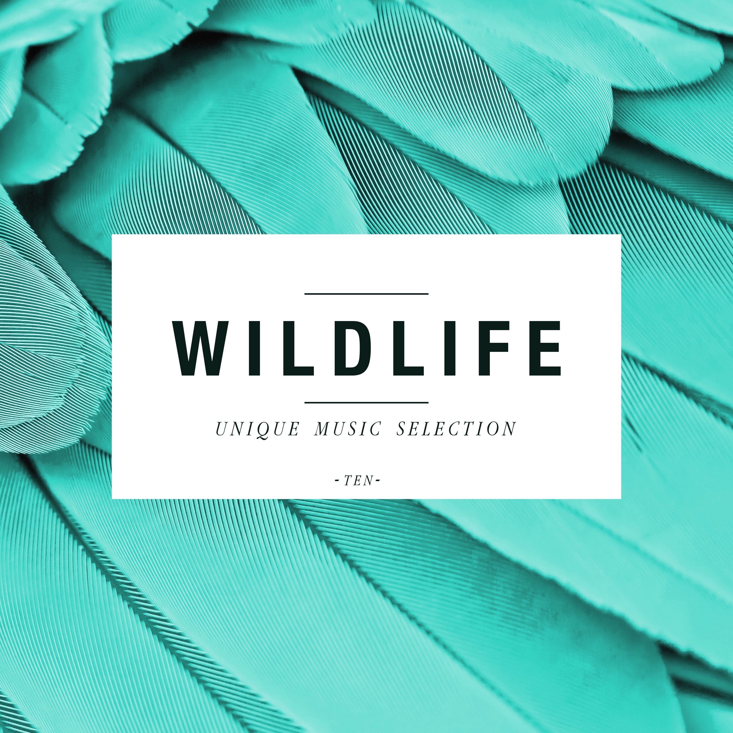 Wildlife - Unique Music Selection, Vol. 10