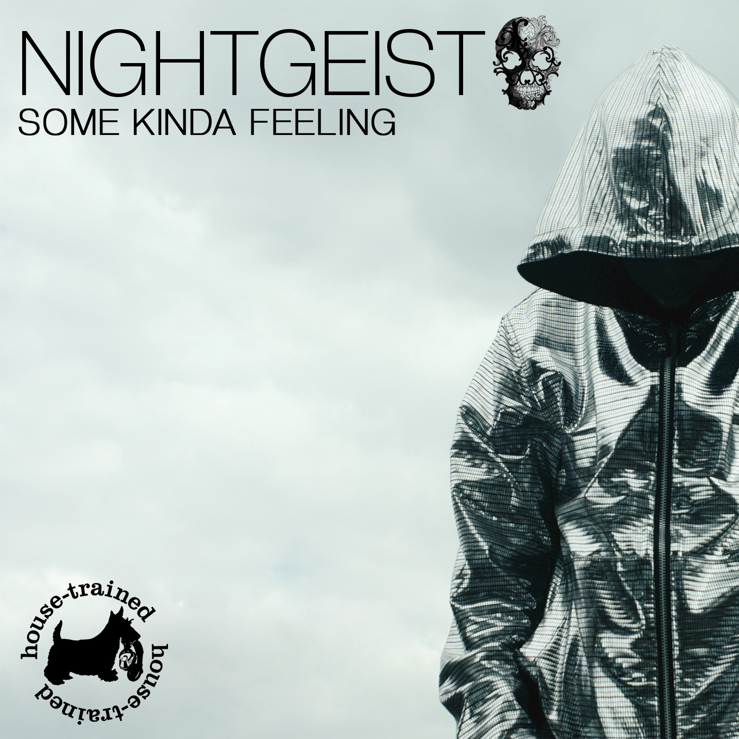 Hangover 2k12 (Chris van Dutch meets Inverno) (Vanilla Kiss vs. Phillerz Radio Edit)