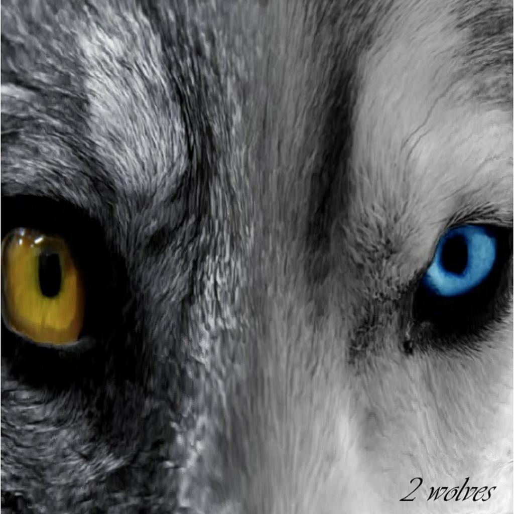 Savage Swayze Freestyle