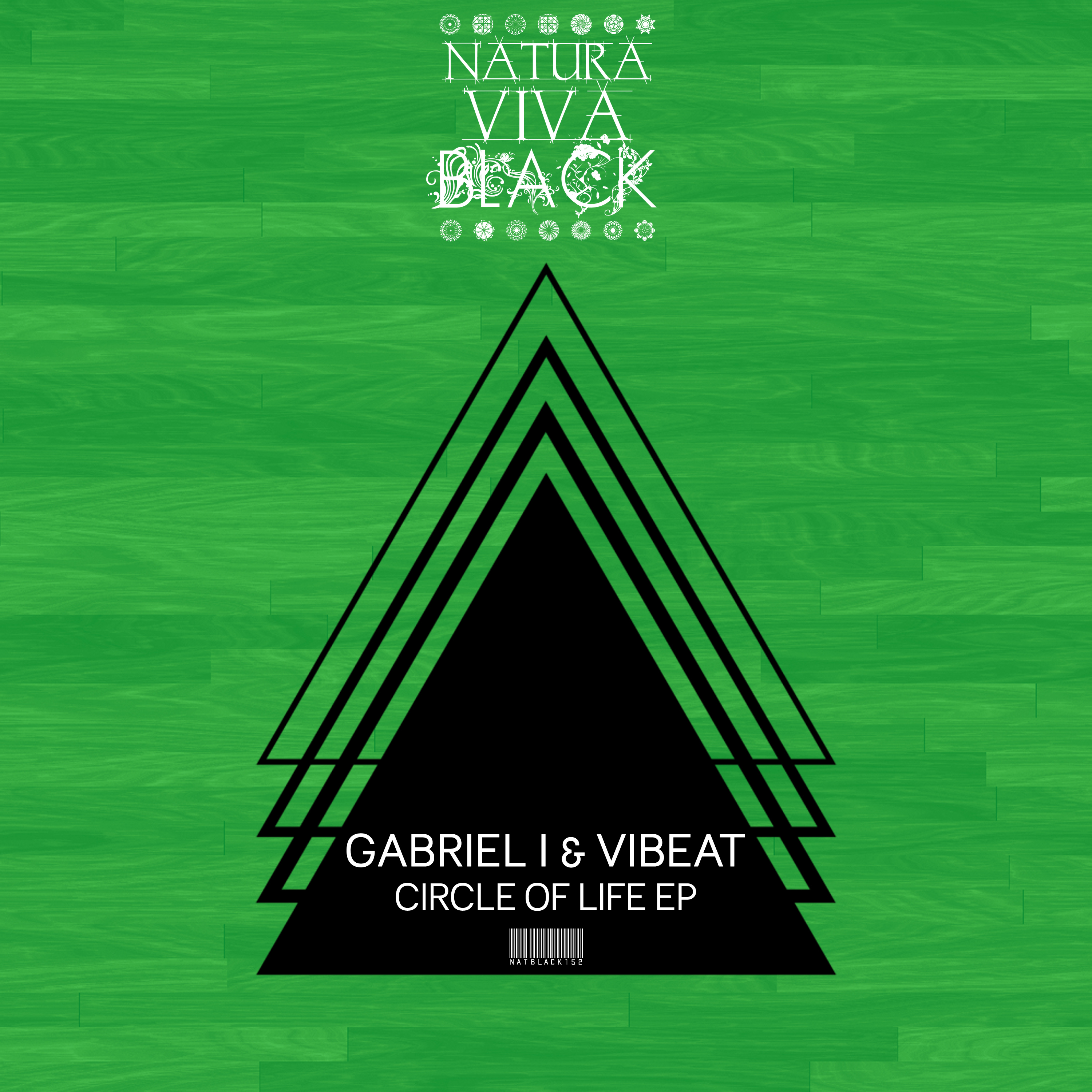 Circle of Life (Radio Edit)