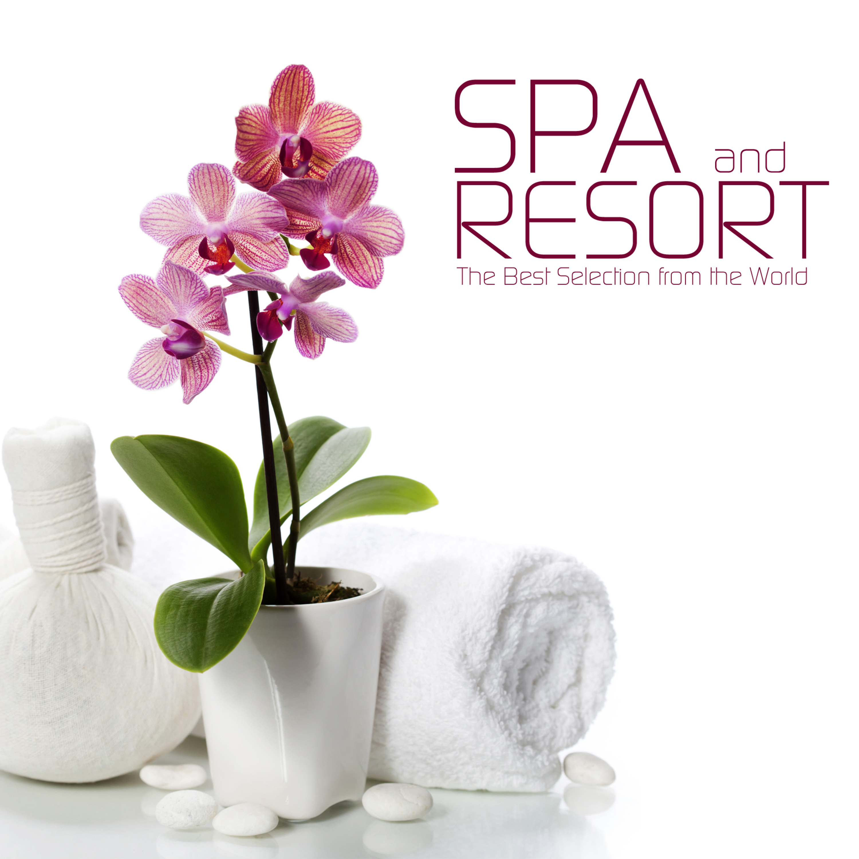 Spa and Resort Music the Best Selection from the World