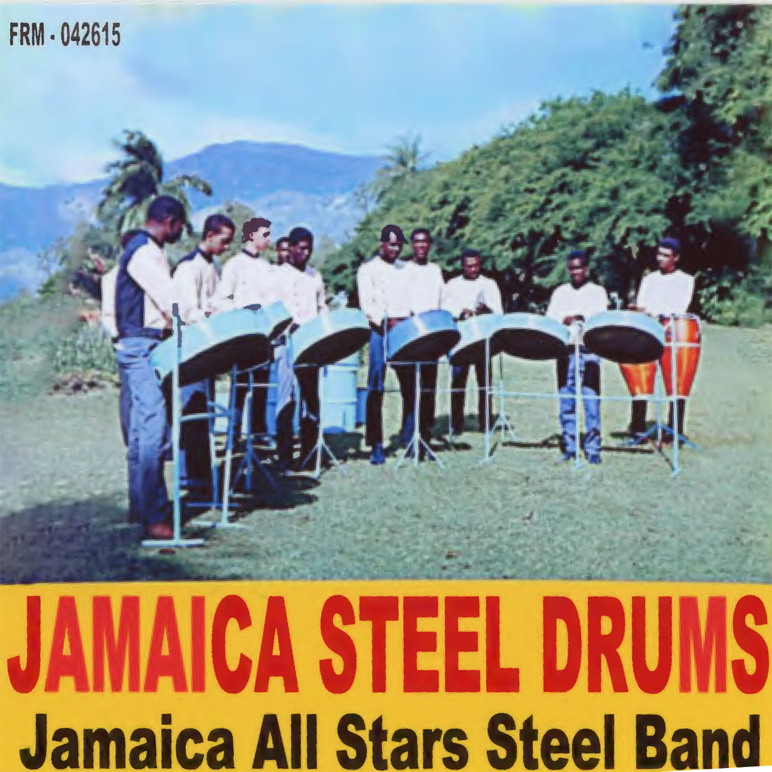 Jamaica Steel Drums
