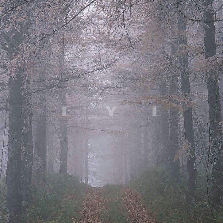 yan Prod. by zhang jie jun