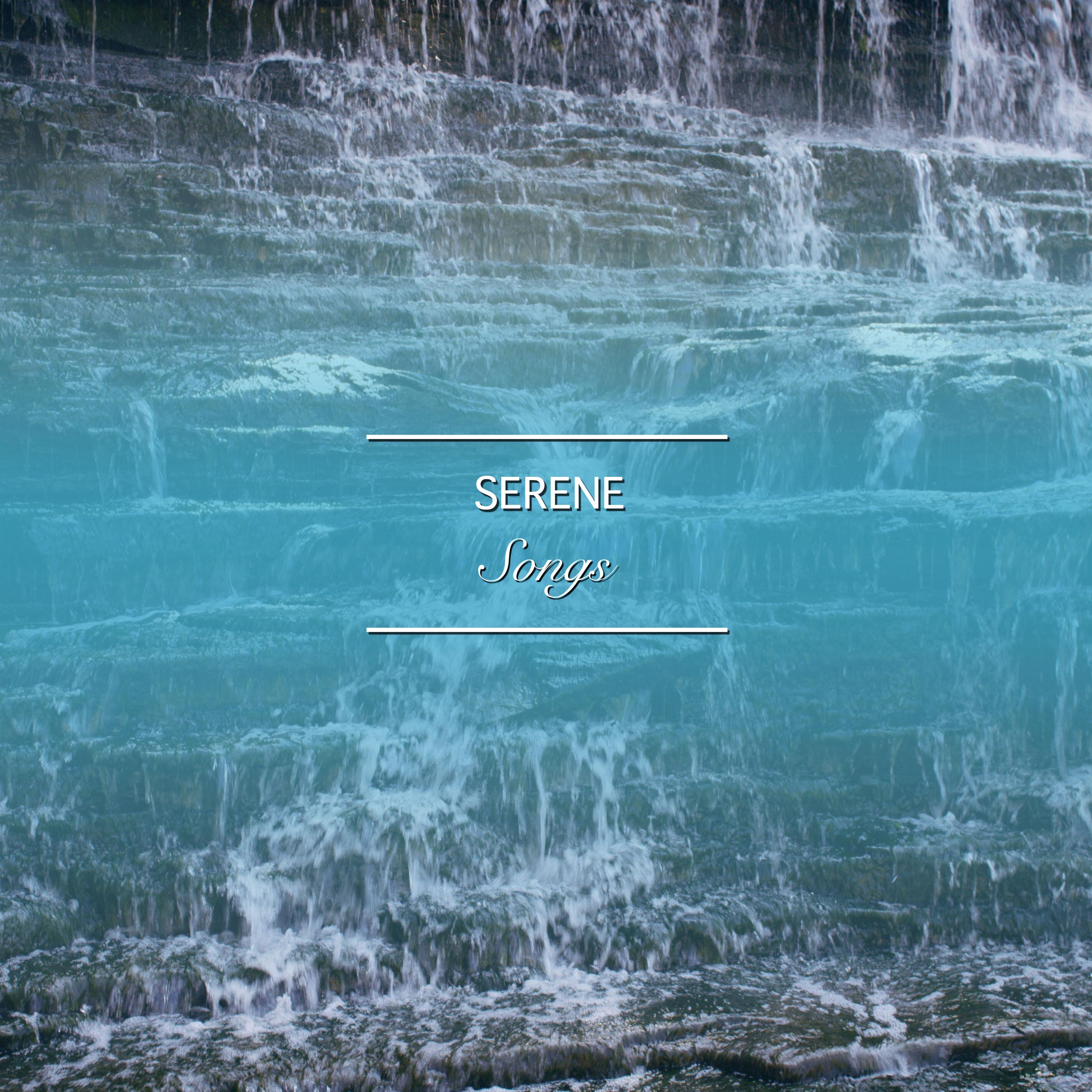 #14 Serene Songs to Invigorate Body and Soul