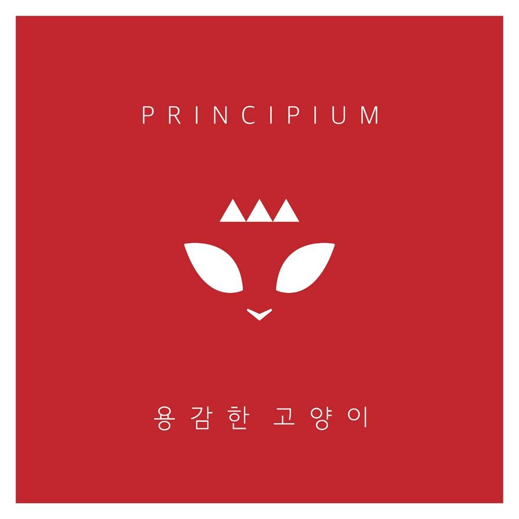 Zeom With You Project Vol. 3