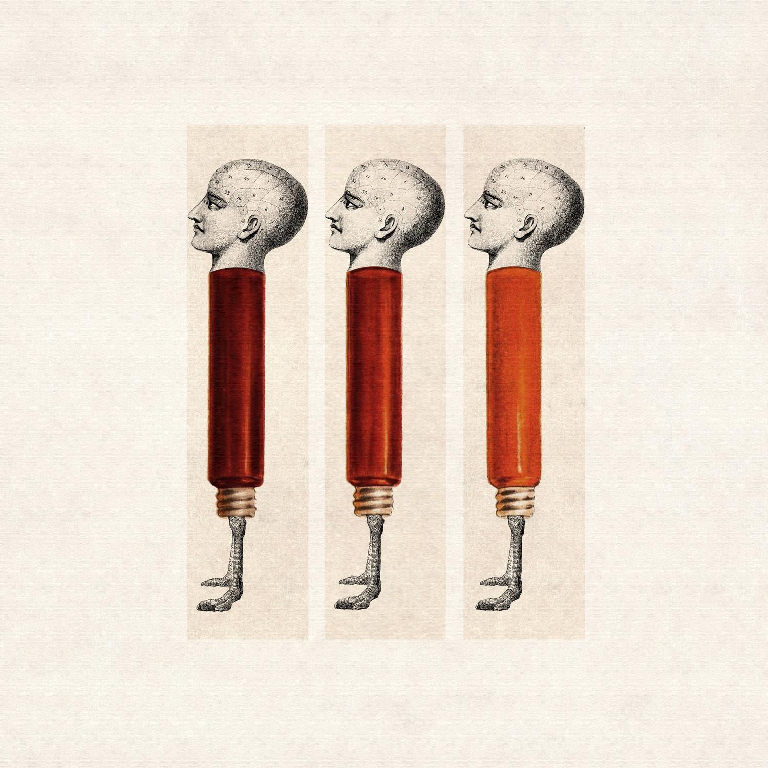 The Amateur Arsonist's Handbook