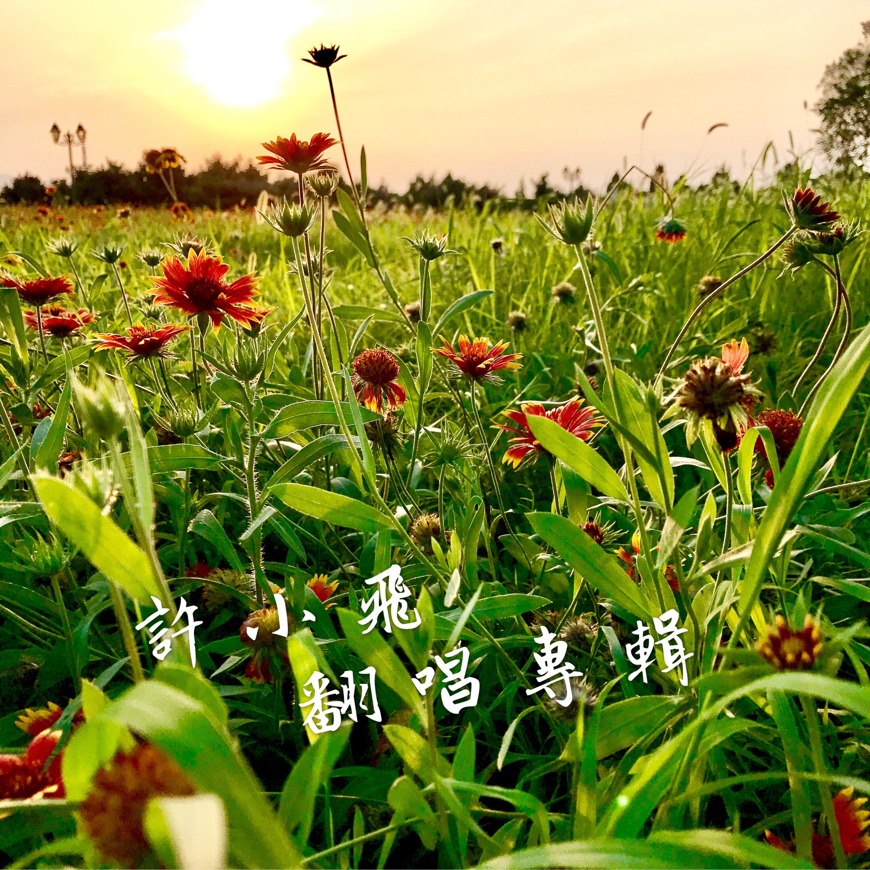 xu xiao fei Cover he ji