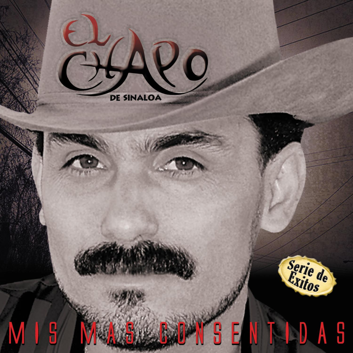 Lo Mejor de Mi - Serie de Exitos