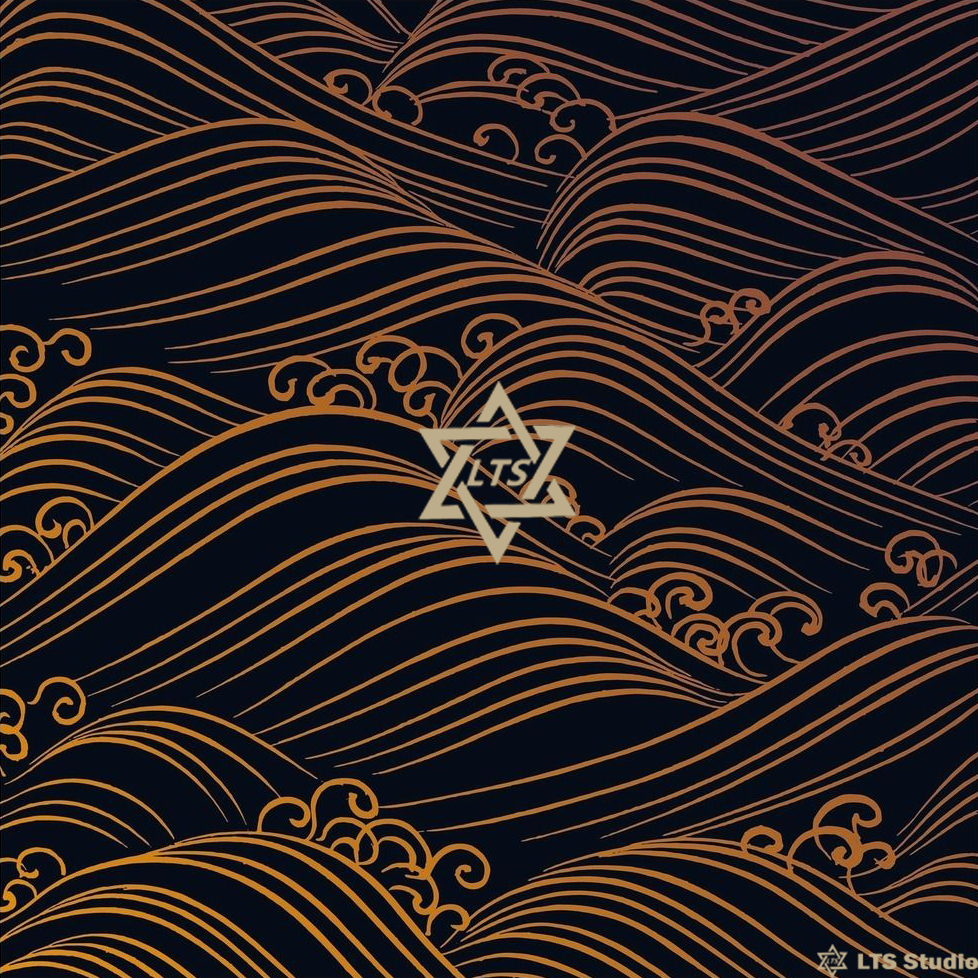 shou zhi xi VIP remix