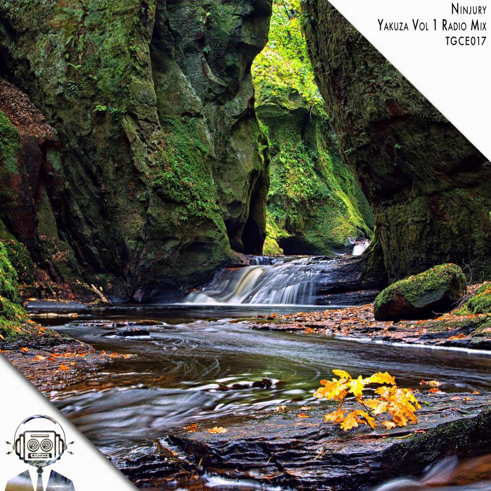 Yakuza (ReepR Radio Remix)