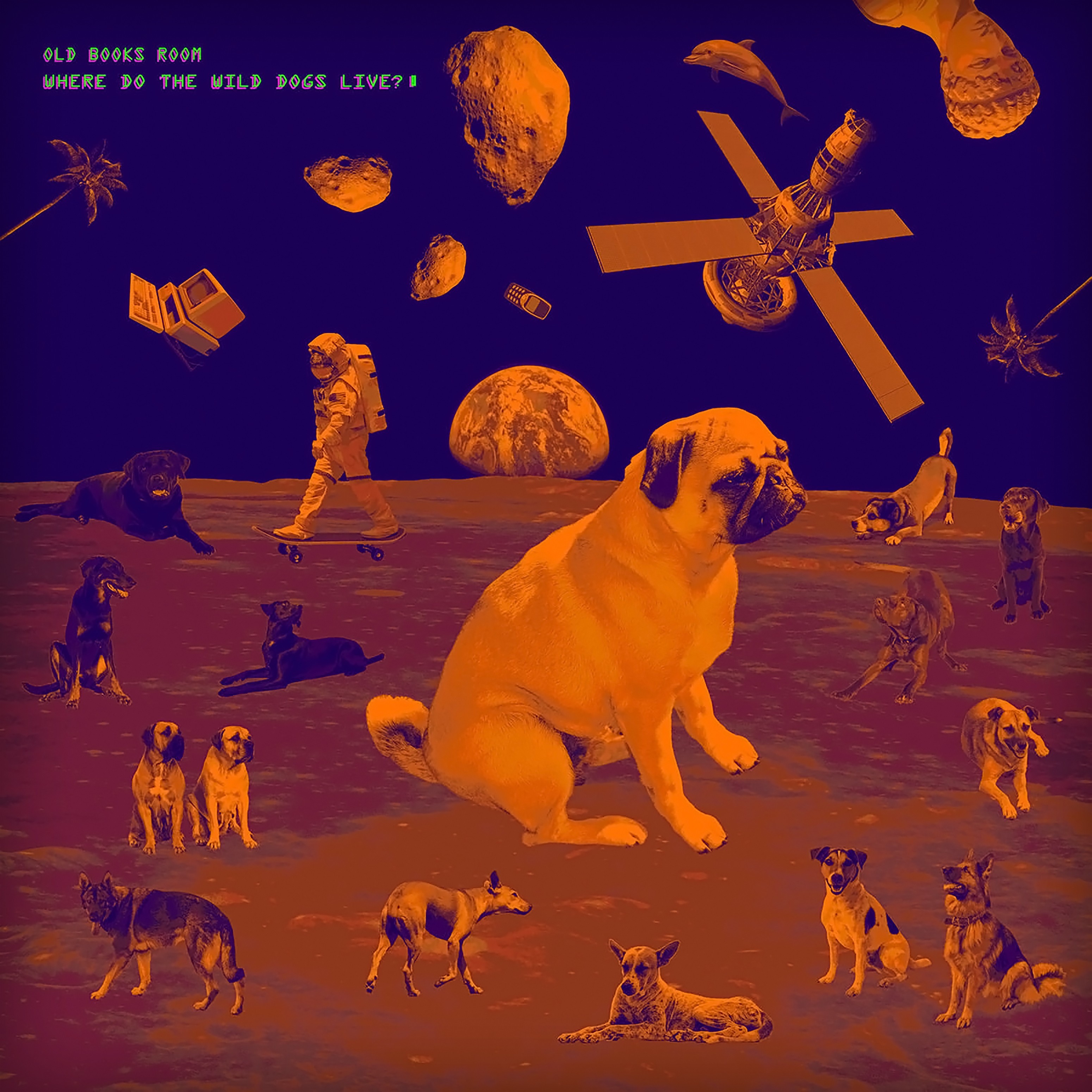 Where Do the Wild Dogs Live?