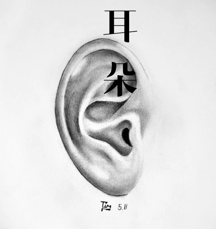 er duo gang qin tan chang ban Cover: li rong hao