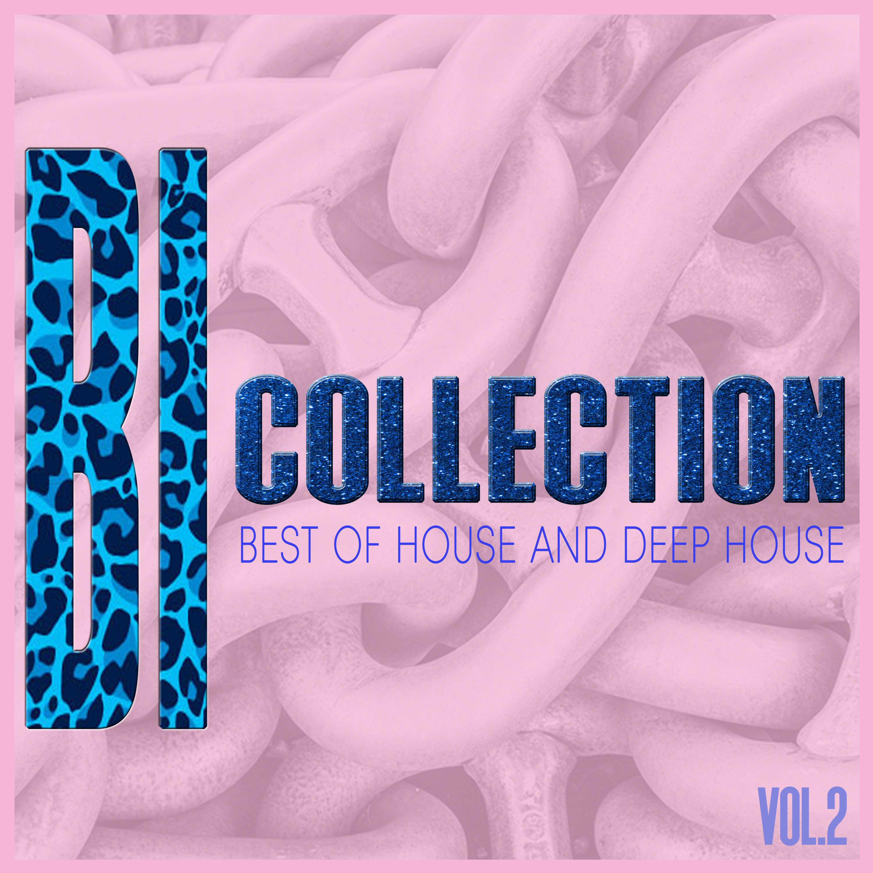 BI-Collection, Vol. 2 - Best of House and Deep House
