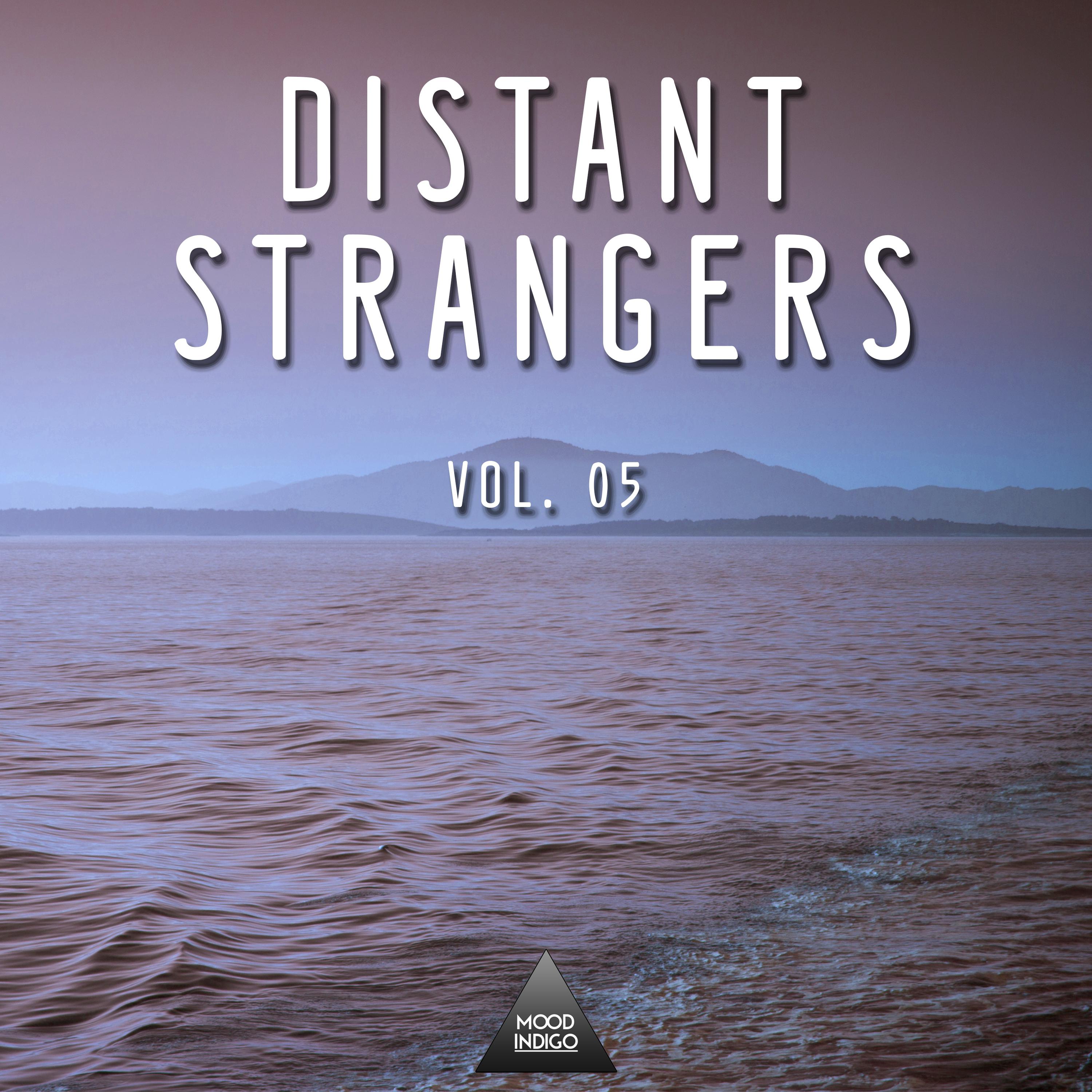 Distant Strangers, Vol. 05