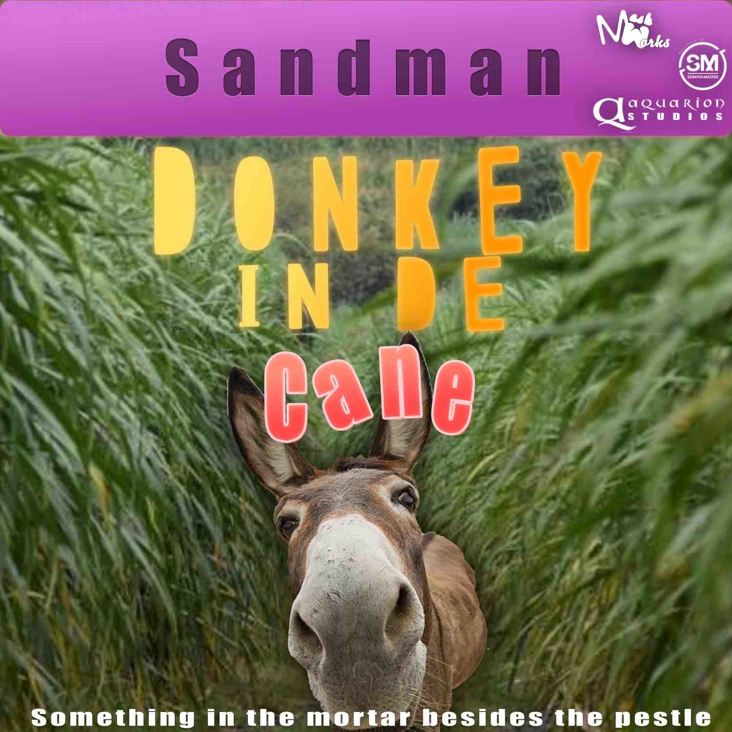 Donkey in De Cane
