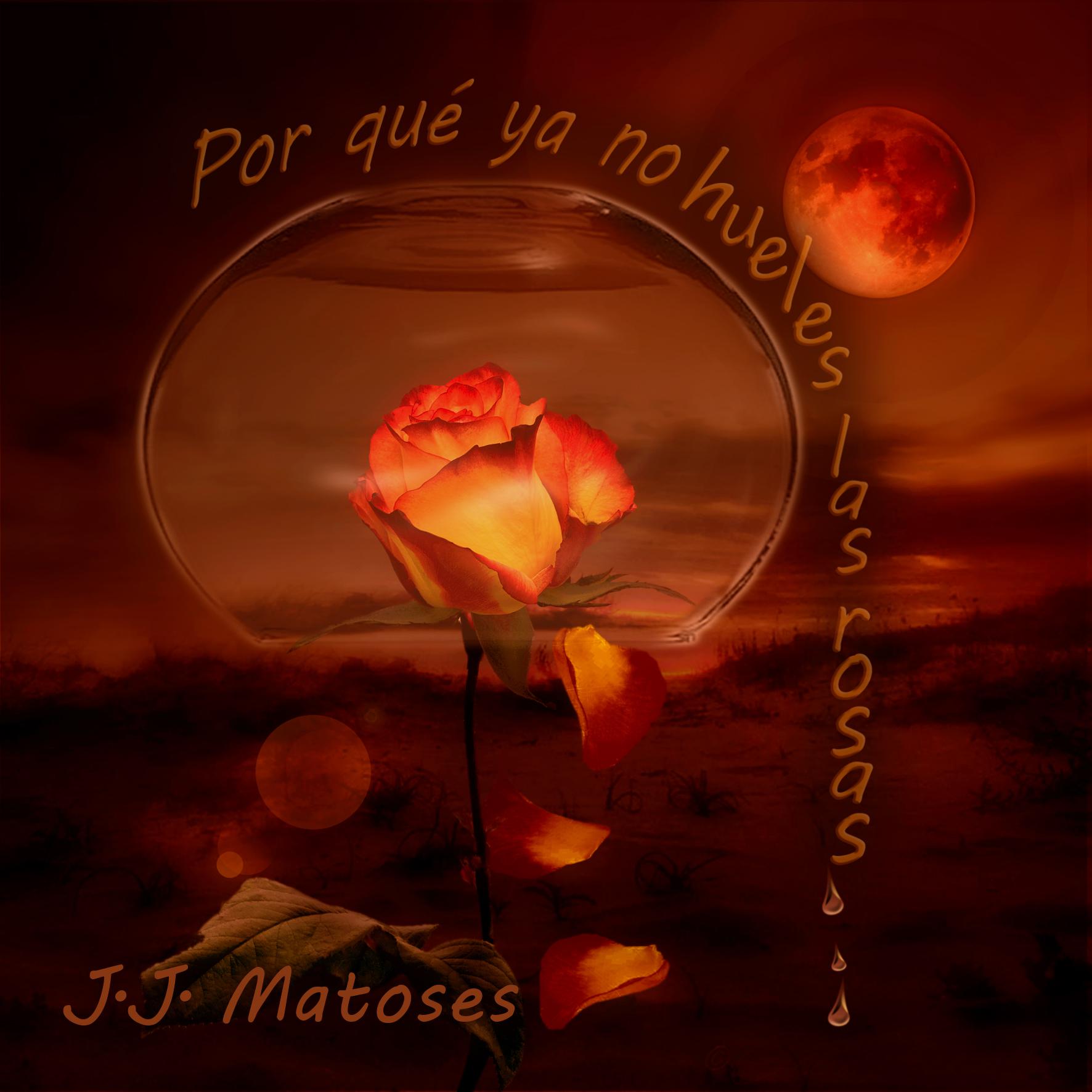 Por Que Ya No Hueles las Rosas