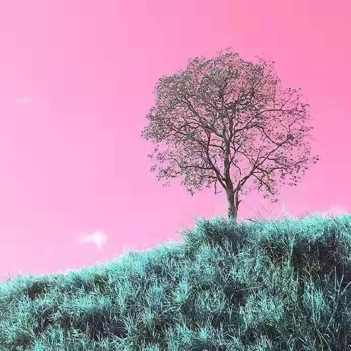 remixsing  for  the  moment fan zi eminme