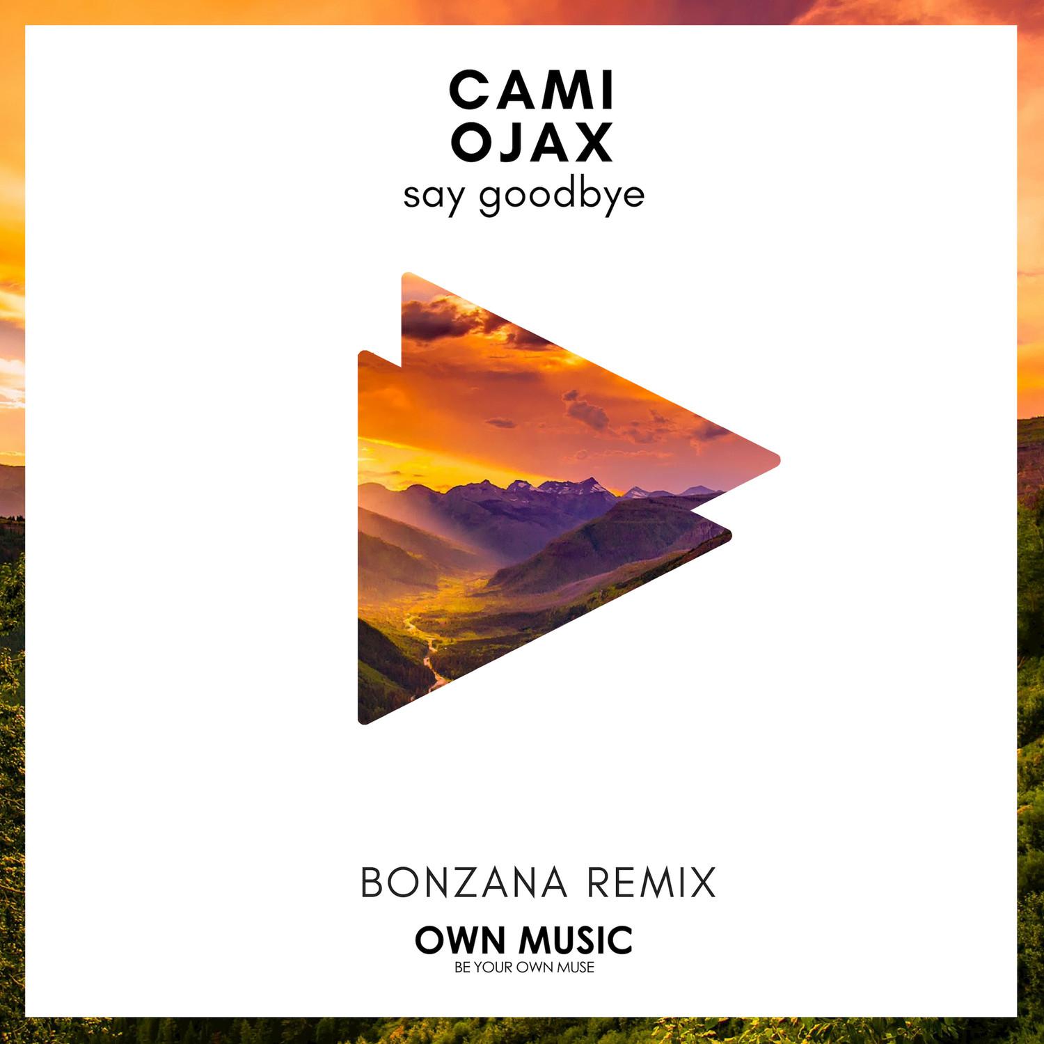 Say Goodbye (Bonzana Extended Remix)