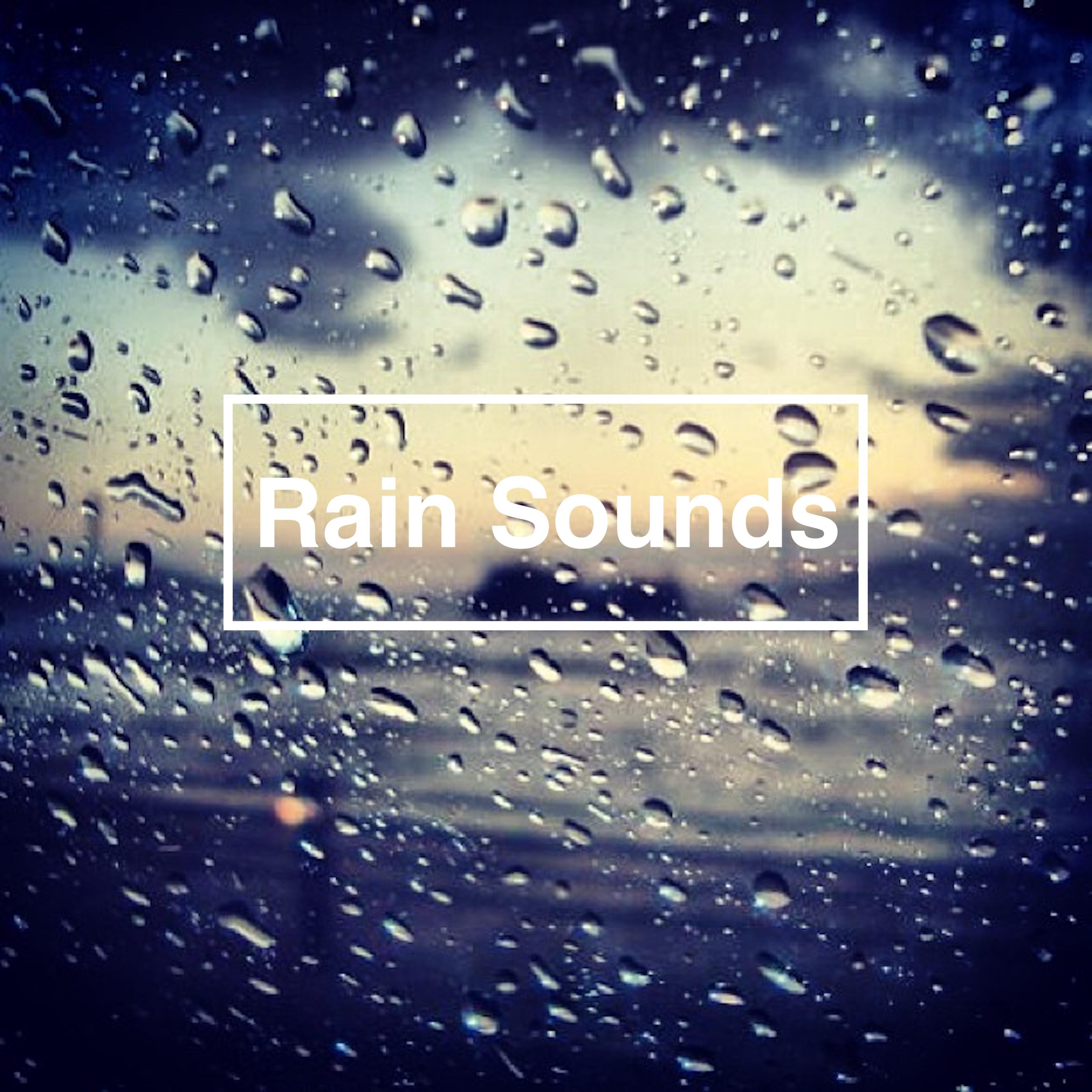 Forest Babbling Brook