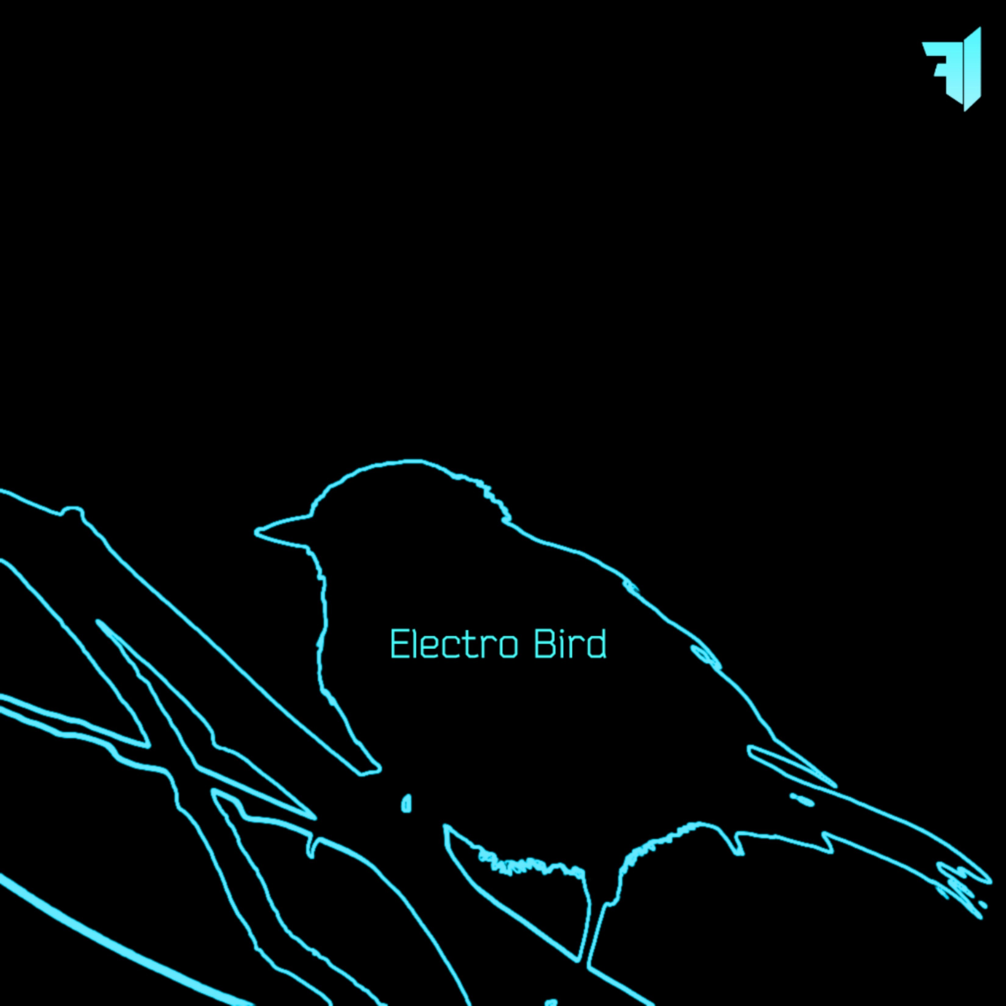 Electro Bird