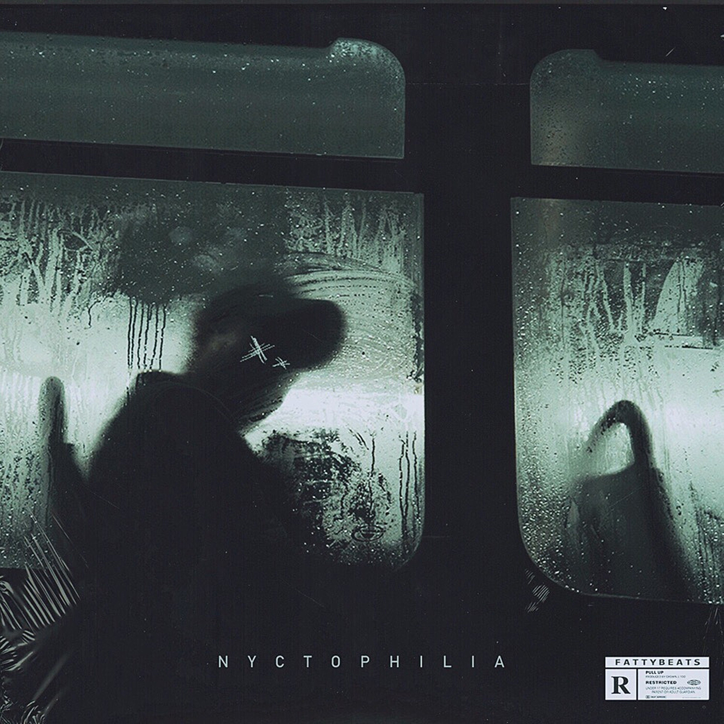 Nyctophilia