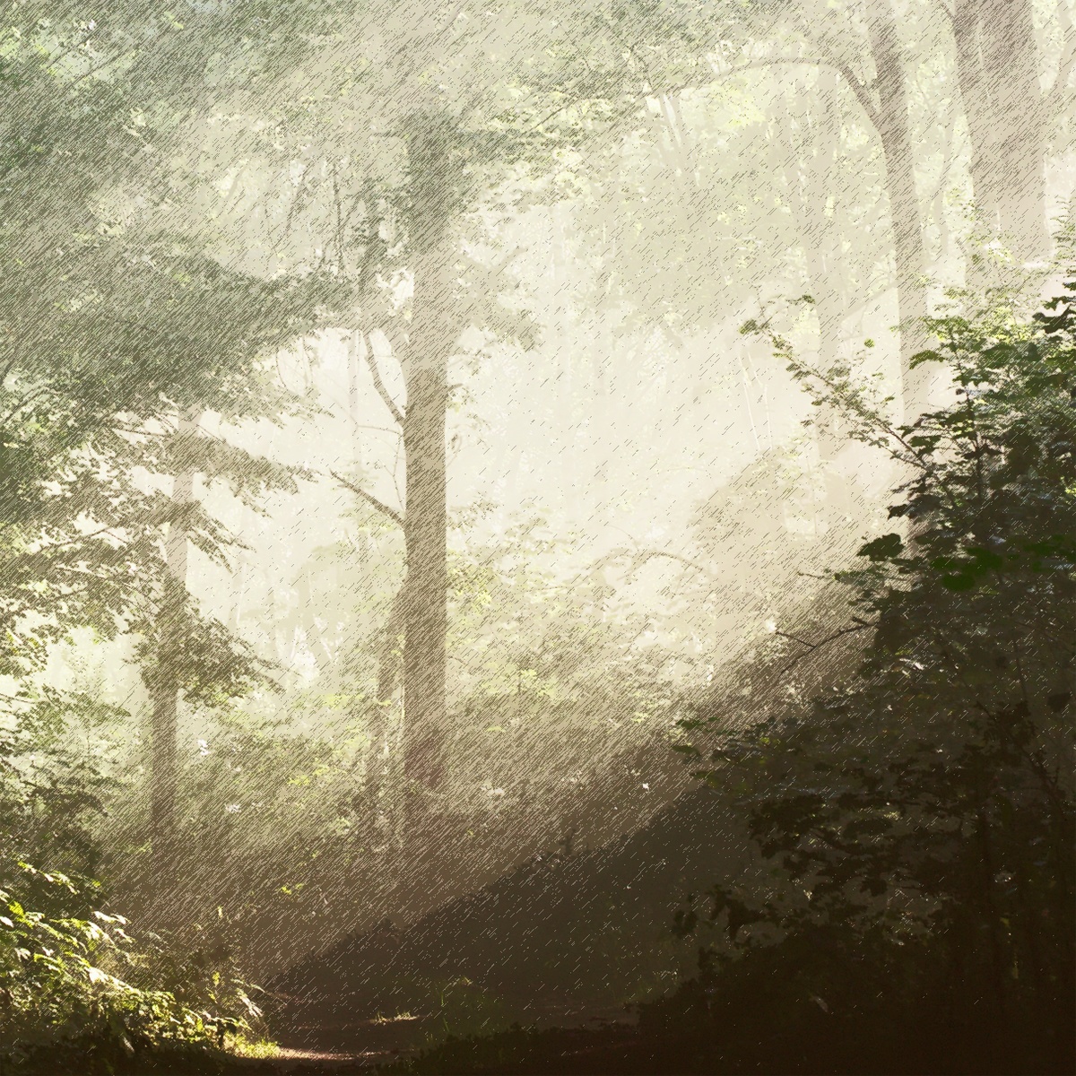 Here we can never stop marching