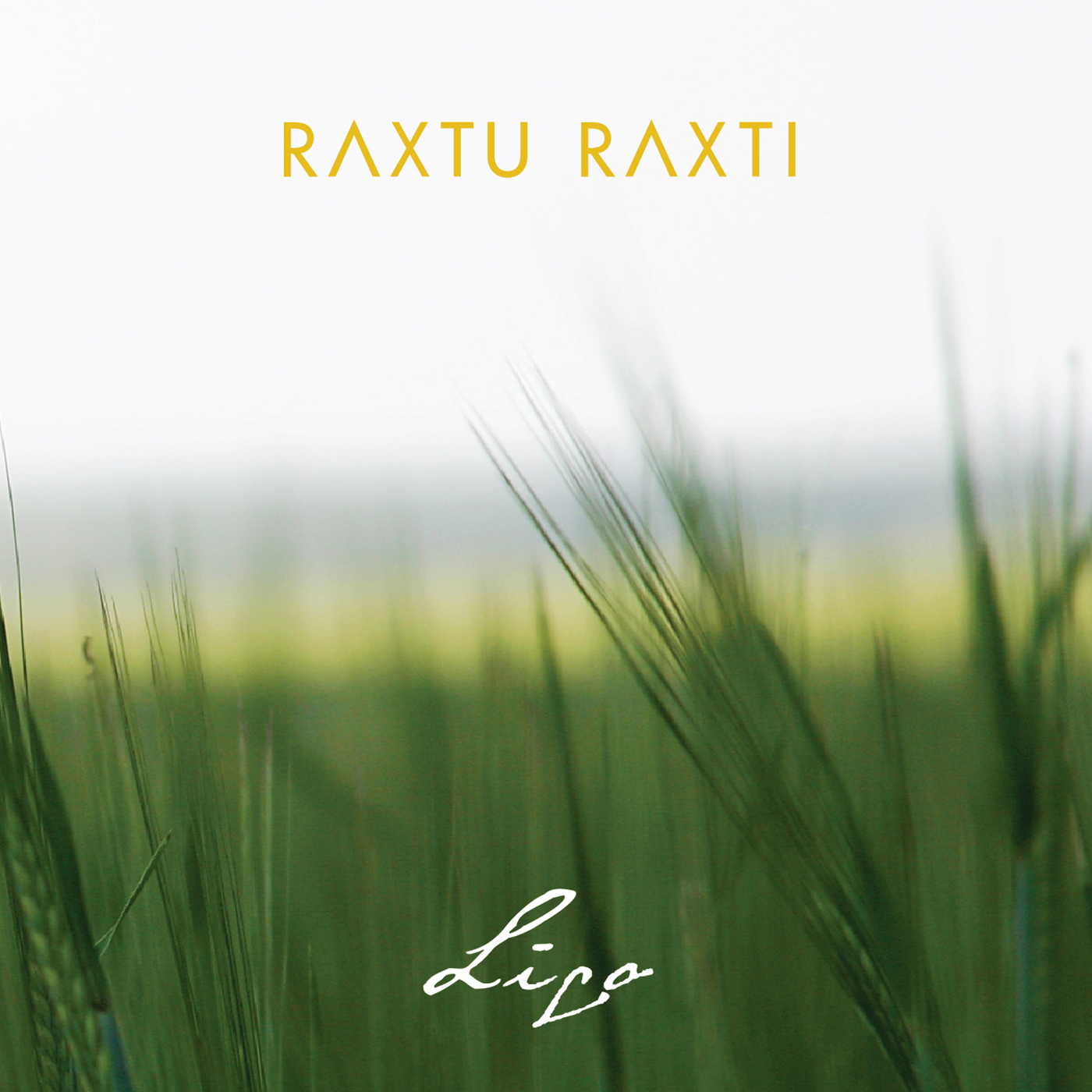 Ru gtin Ru ga Alutinis