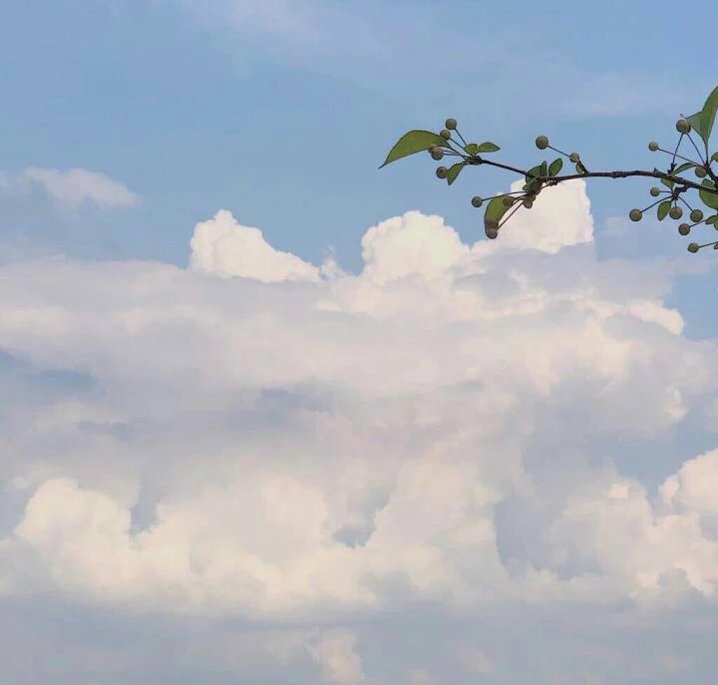 nian nian fan zi xu bing long