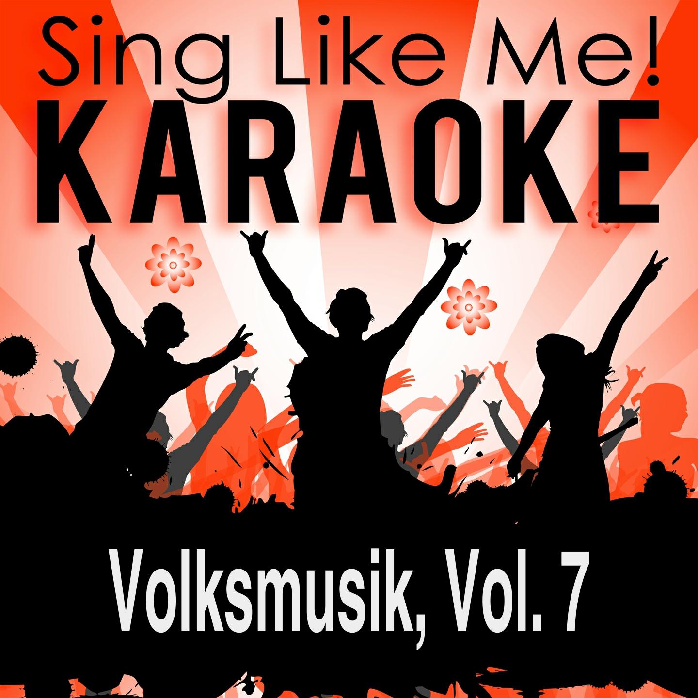 Volksmusik, Vol. 7 (Karaoke Version)