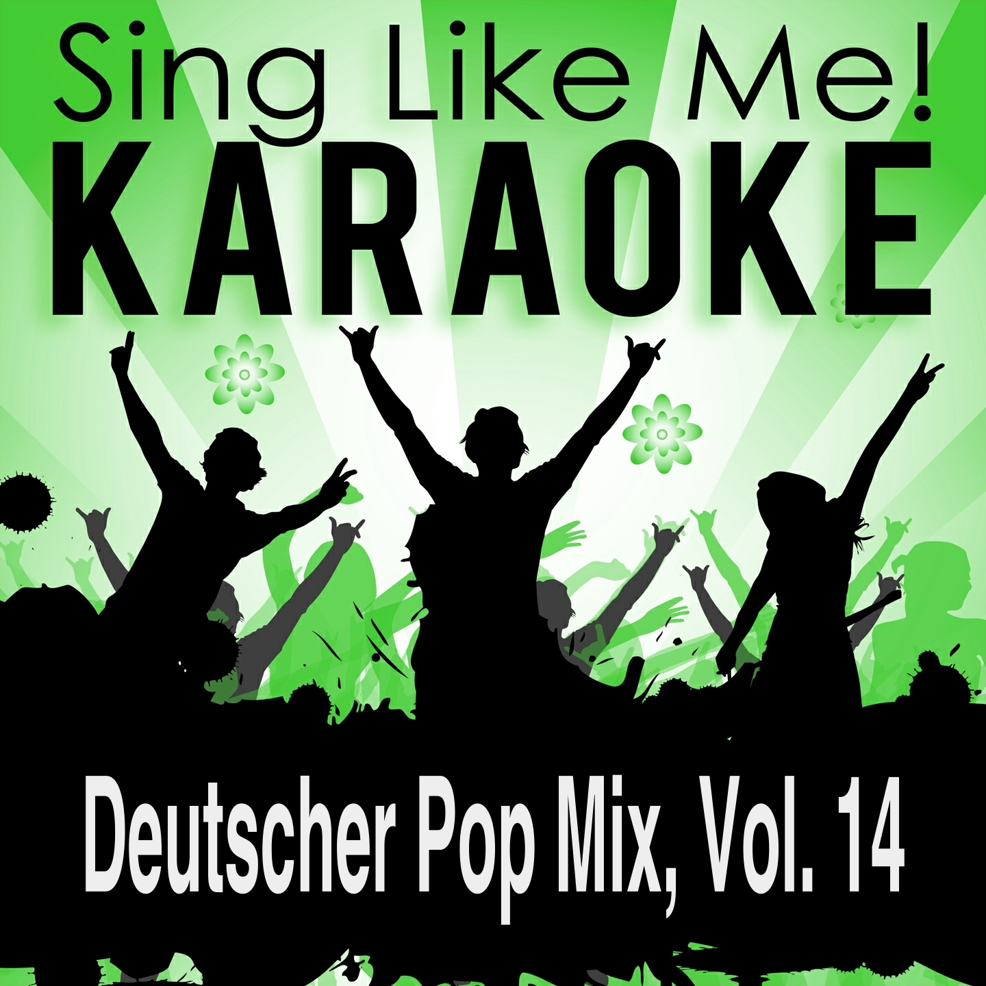 Deutscher Pop Mix, Vol. 14 (Karaoke Version)