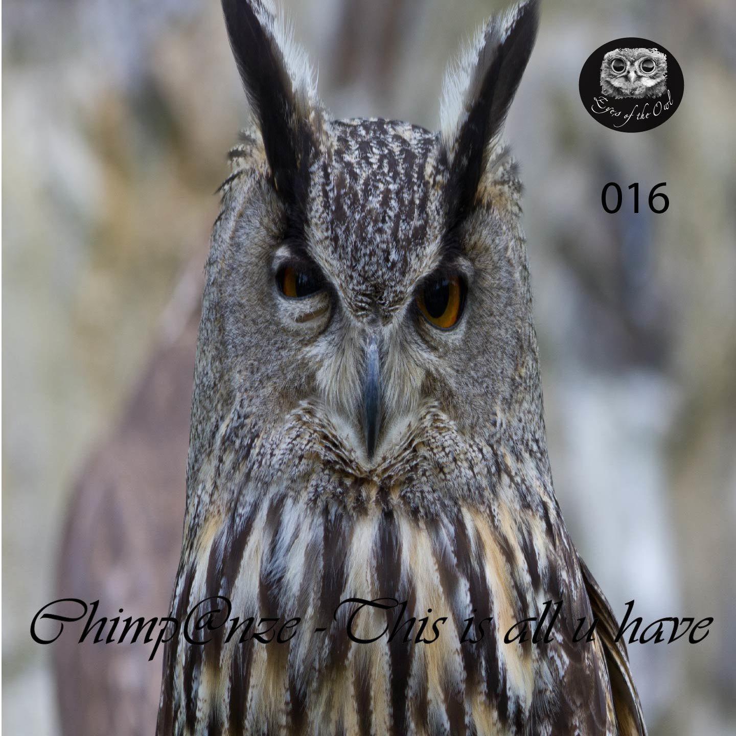 This Is All You Have