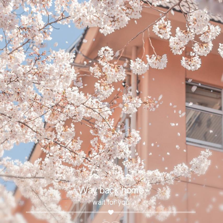 way back home fan zi Pasechnik