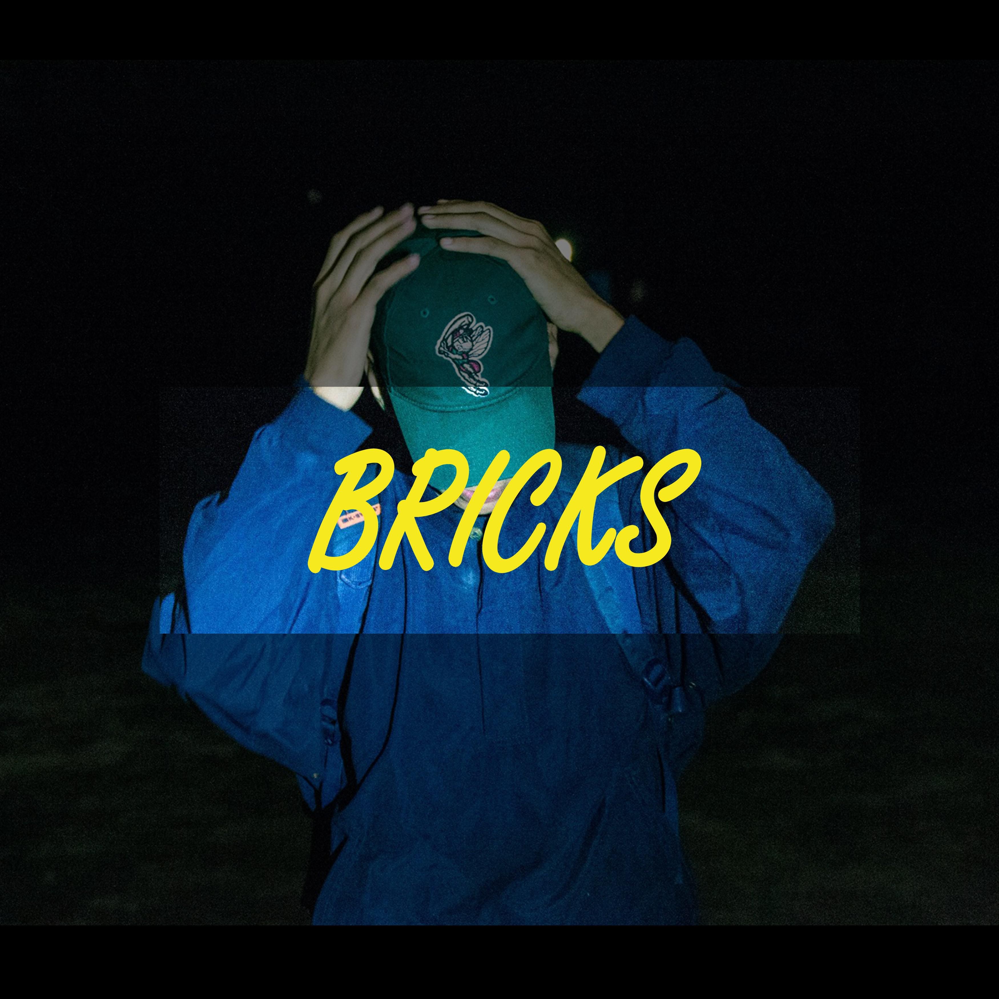 Bricks