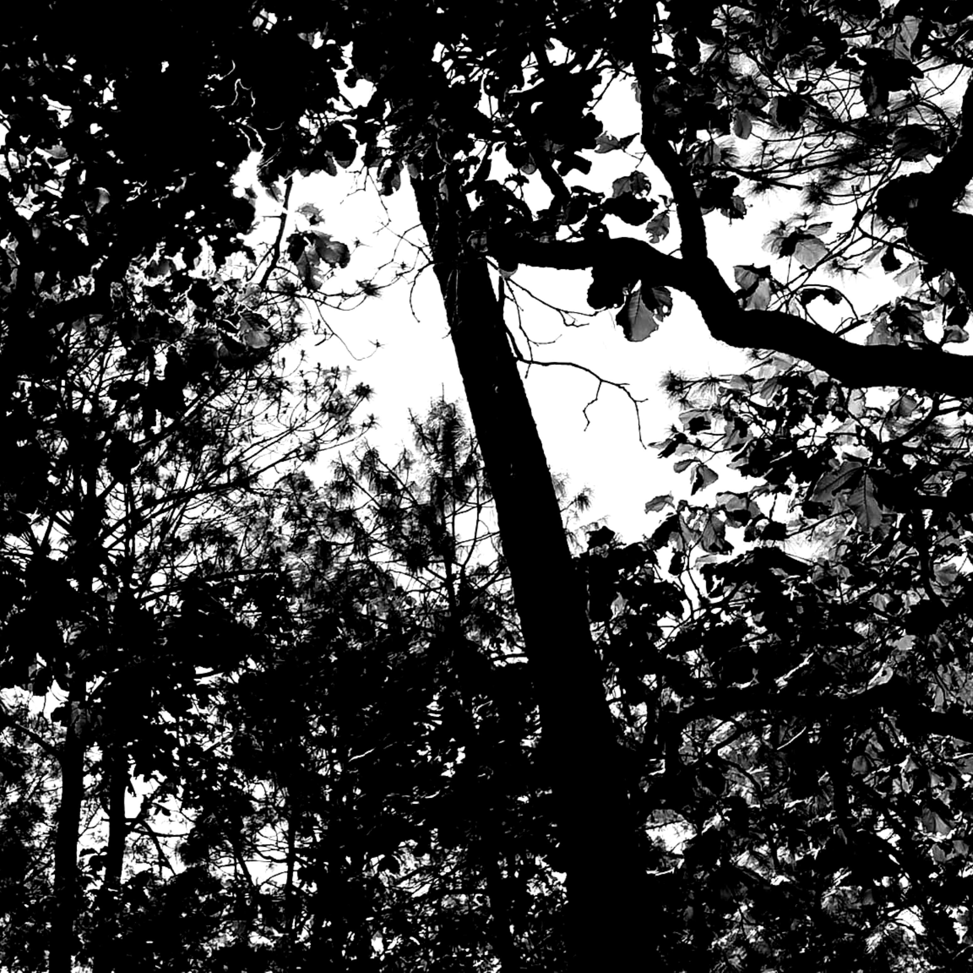 I Miss You (Bonus Track)