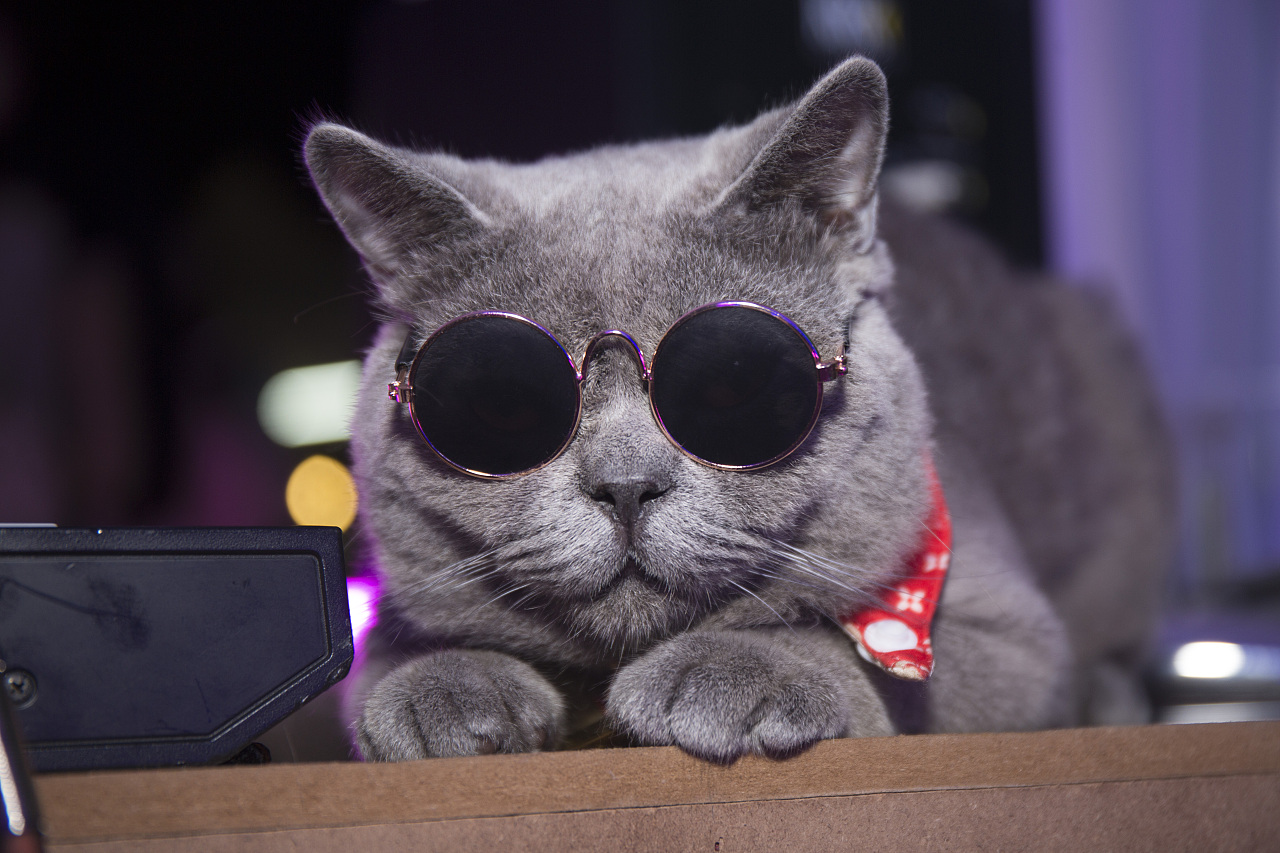 Arcade Mammoth N' Runaway