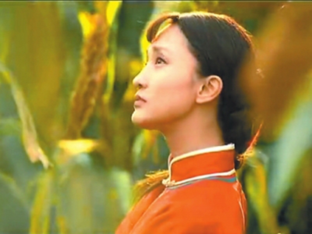 gu zheng er hu jiu er Cover tan jing dian shi ju hong gao liang zhu ti qu