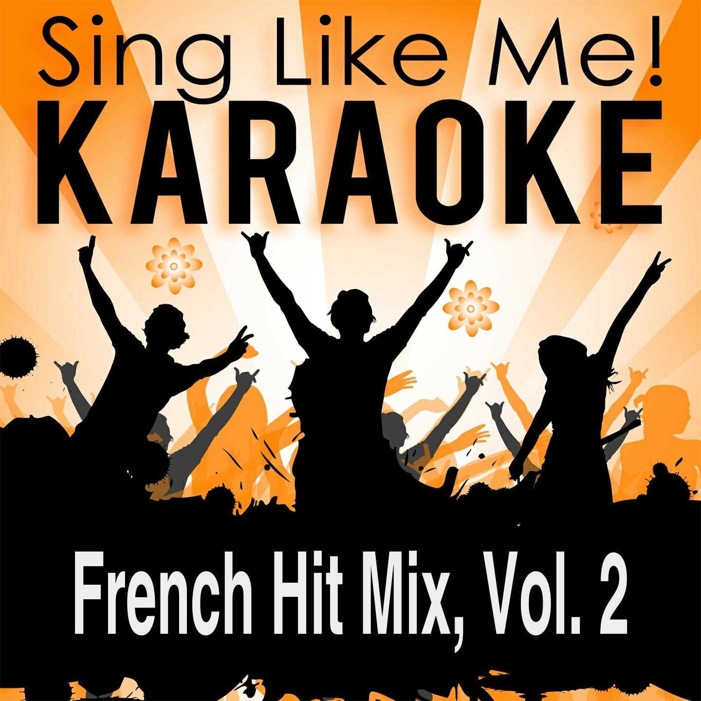 French Hit Mix, Vol. 2 (Karaoke Version)