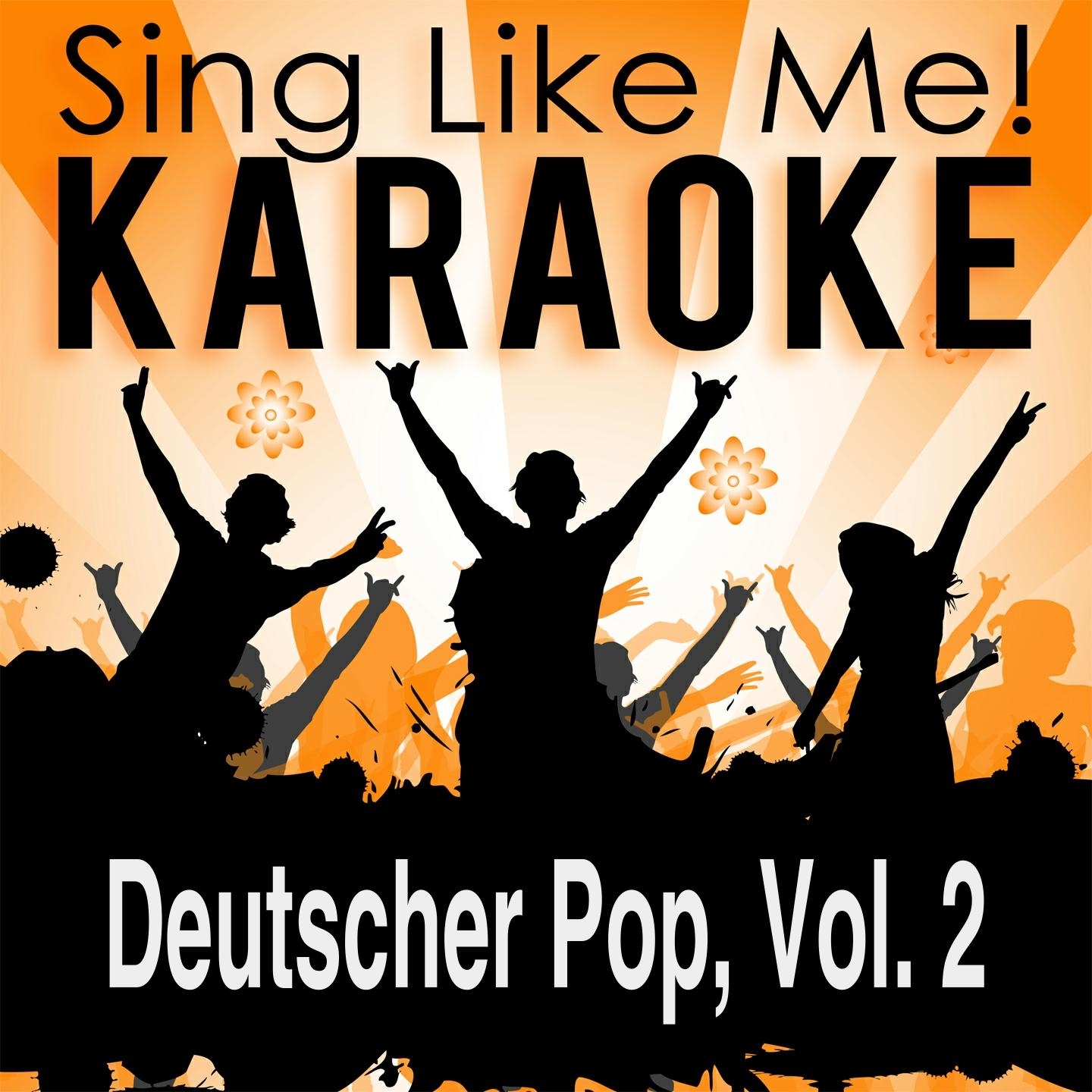 No More Tears On the Dancefloor (Radio Edit) [Karaoke Version] (Originally Performed By Anders | Fahrenkrog)
